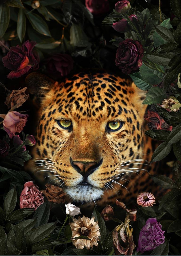 Plakat med leopard og blomsterdesign