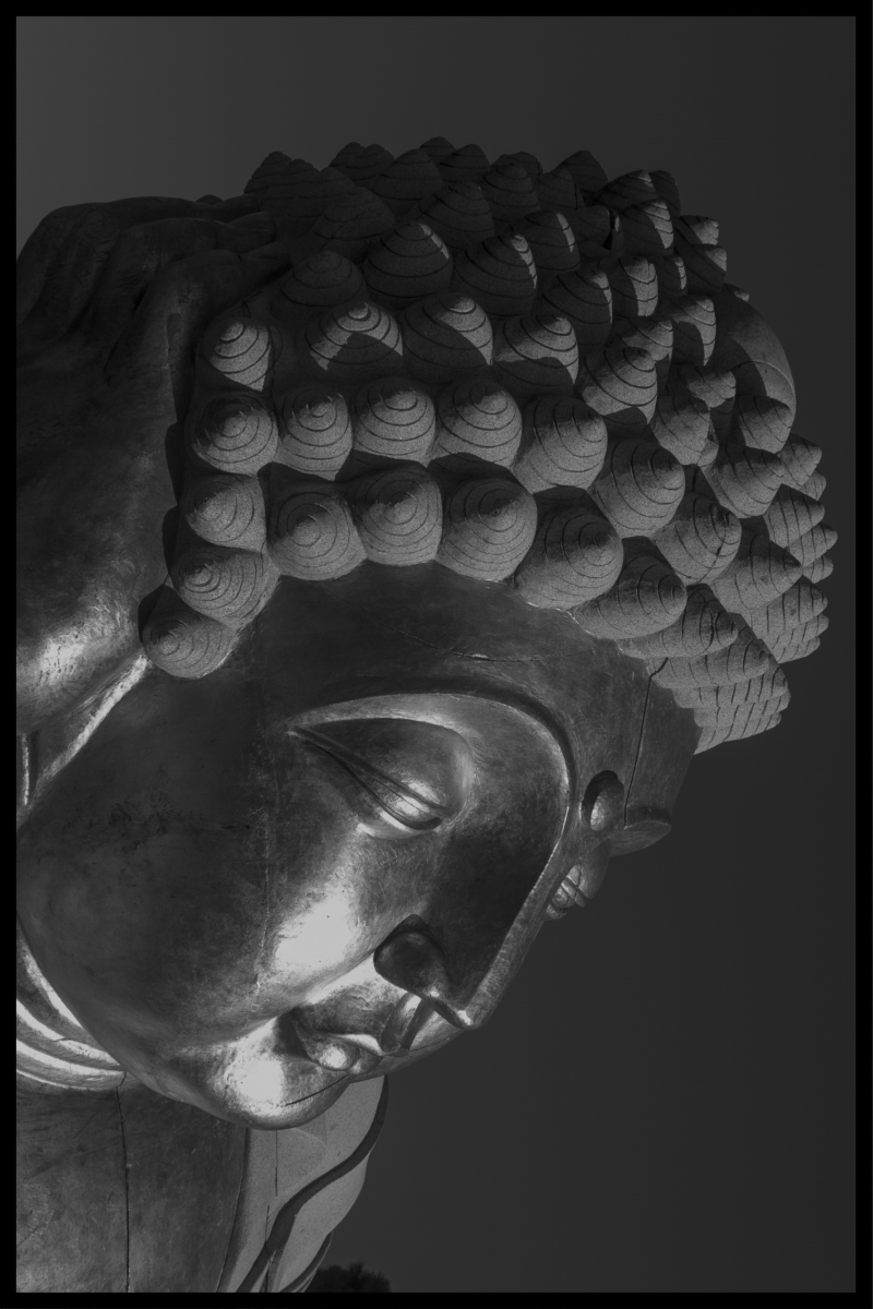 Buddha plakat - 30x40 cm kunsttryk