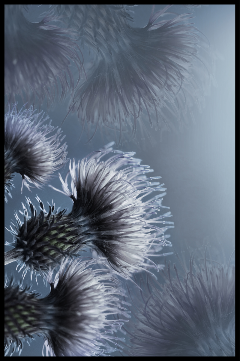 Blå blomsterplakat - 30x40 cm