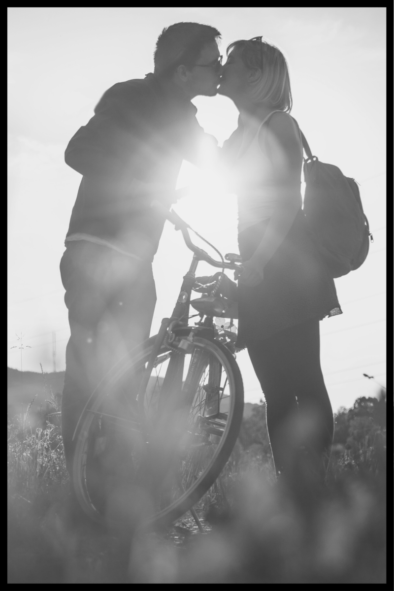 Cykelkys plakat – 21x30 cm design
