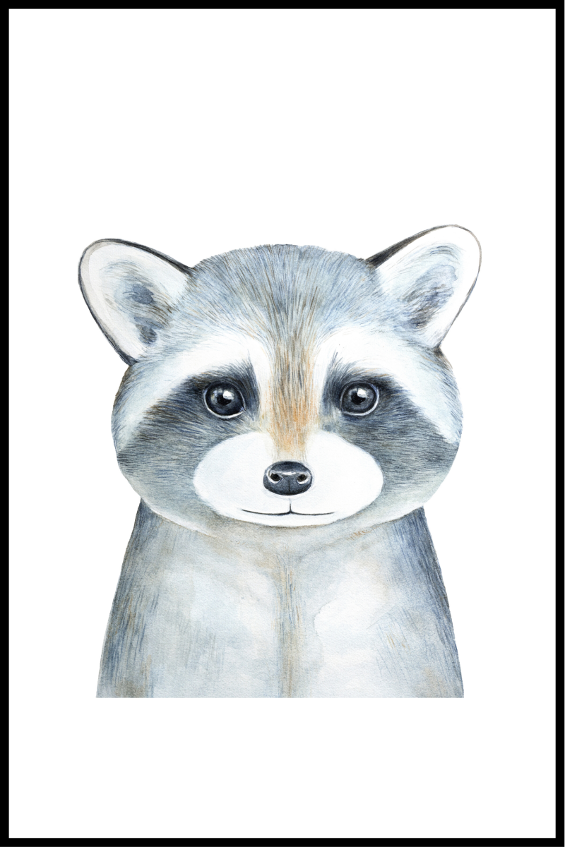 Vaskebjørn plakat til børn - 30x40 cm