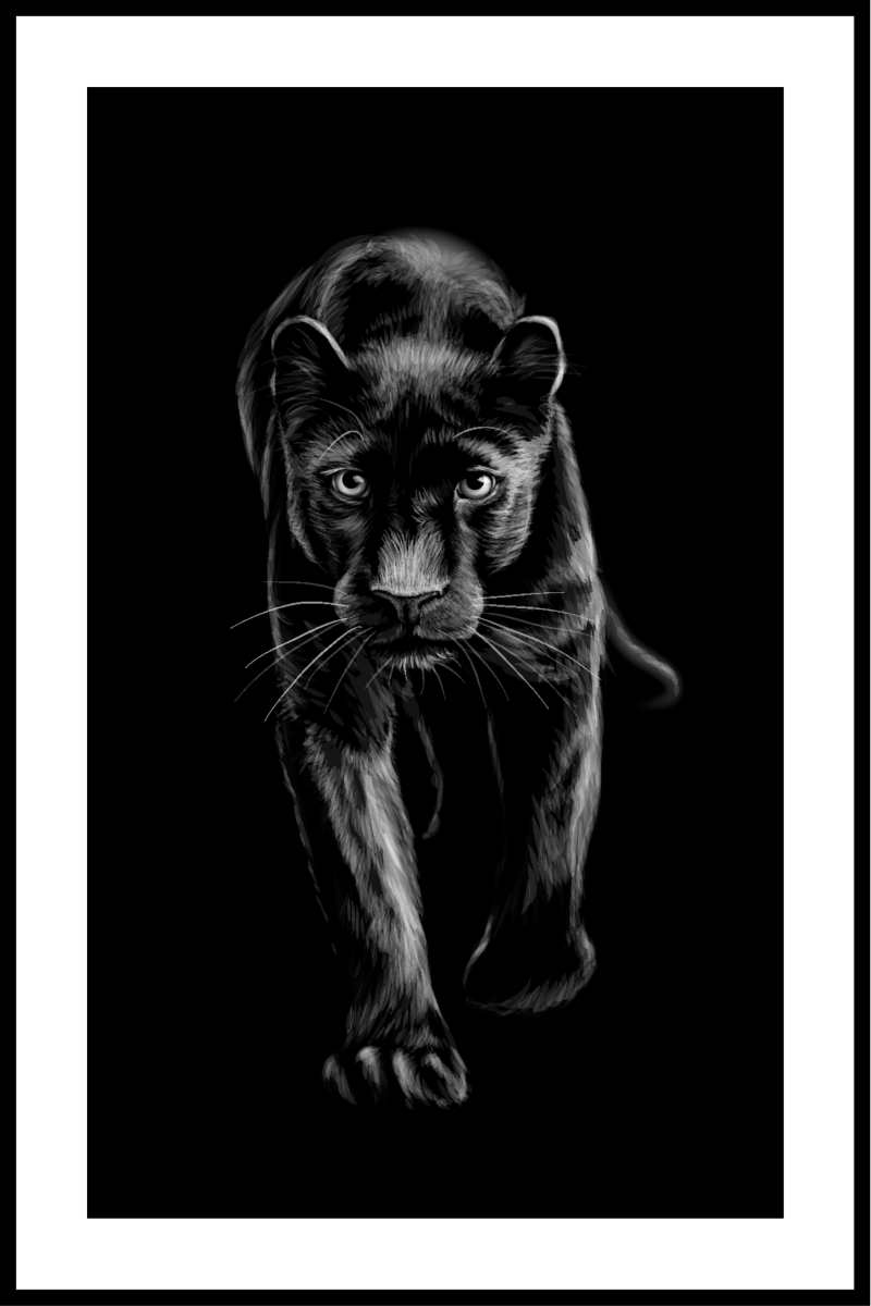 Puma plakat - 30x40 cm kunsttryk