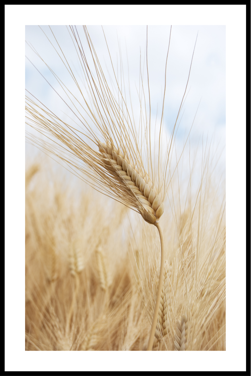 Byg Plakat - 30x40 cm Design