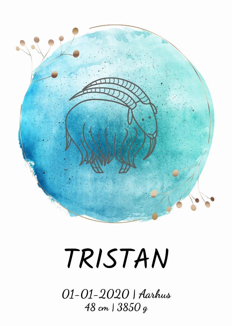 Zodiac fødselsplakat 21x30 cm (A4)
