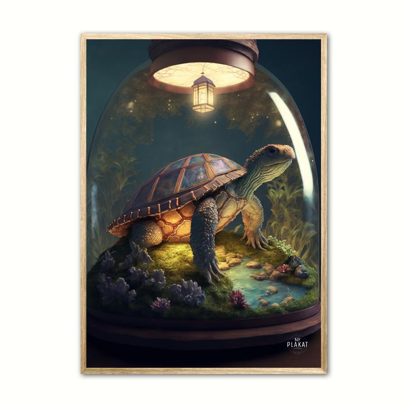 Skildpadde plakat A4 21 x 29,7 cm