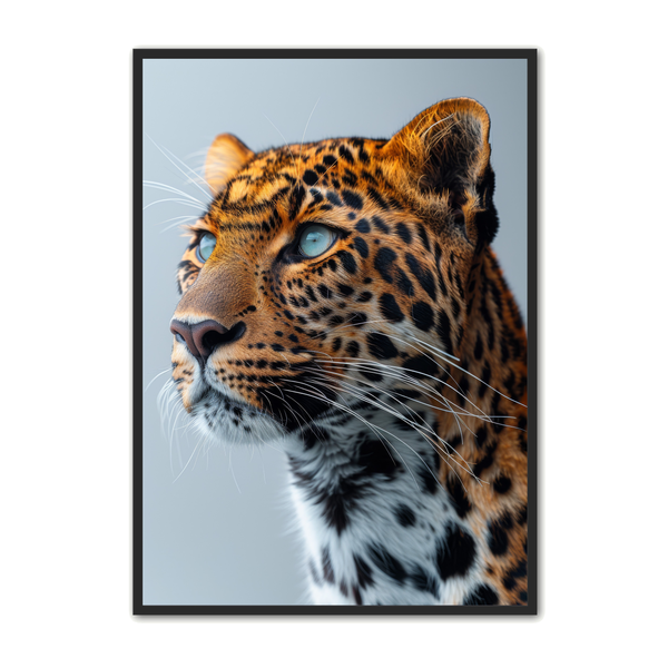 Leopard Plakat Design 1