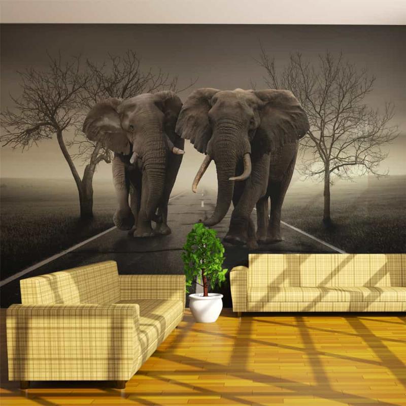 Elefant Fototapet til Væggen