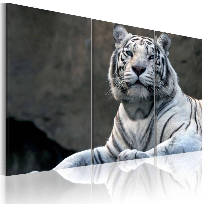 Hvid tiger lærredstryk