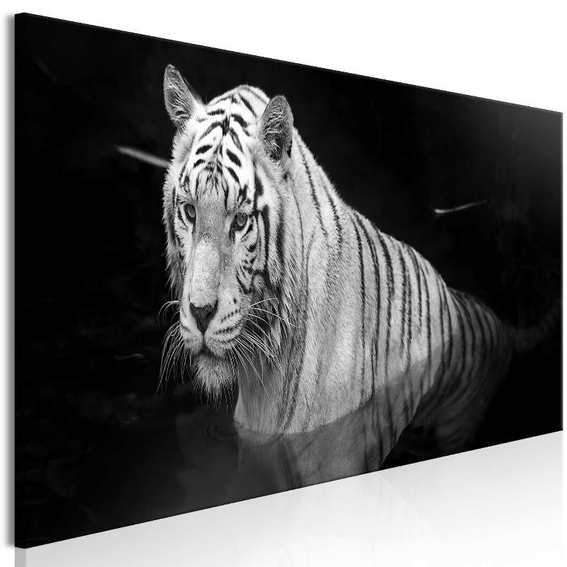 Lærredstryk Glitrende Tiger (1 stk) Sort/hvid