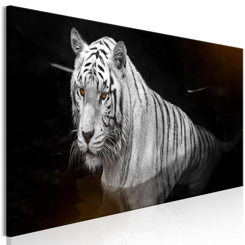 Orange Lærredstryk: Skinnende Tiger (1 del)
