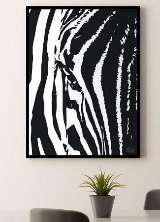 Zebra Plakat - 21 x 29,7 cm (A4) Kr. 199,-