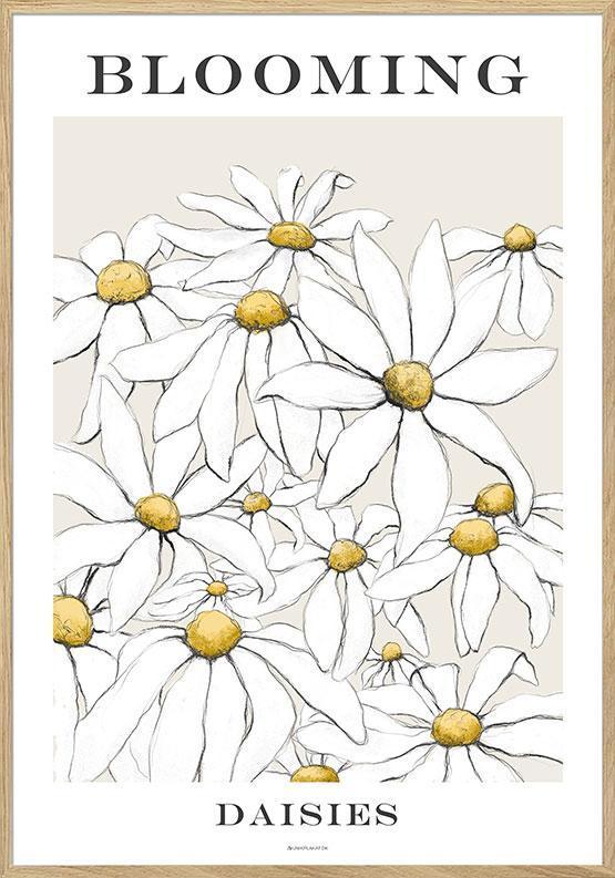 Farverig Marguerit Kunstplakat til Dit Hjem – Bestil Nu!