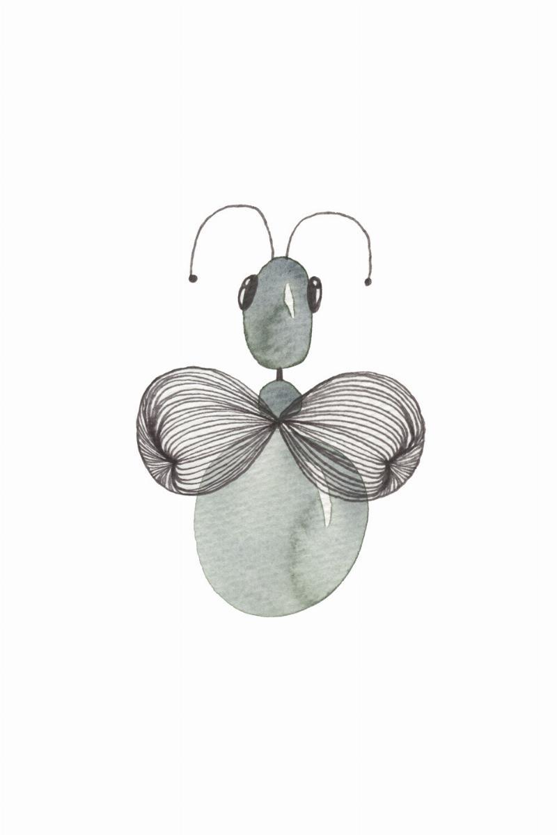 Diptera af Lise S. Sørensen