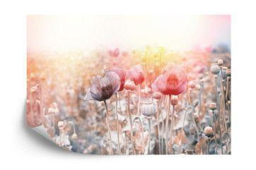 Fototapet - Skøn Valmuemark Design