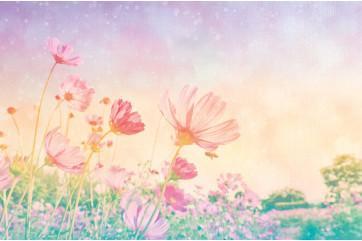 Fototapet - Vintage Pastel Blomster