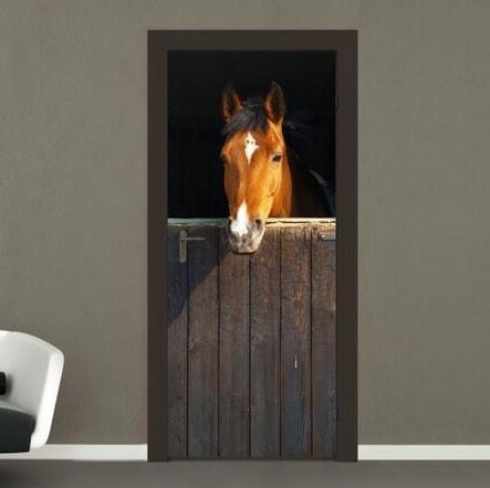 Hest Fototapet til Vægdekoration
