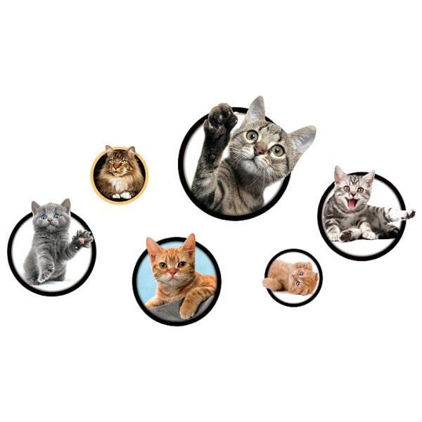 Katte wallstickers med 6 søde killinger