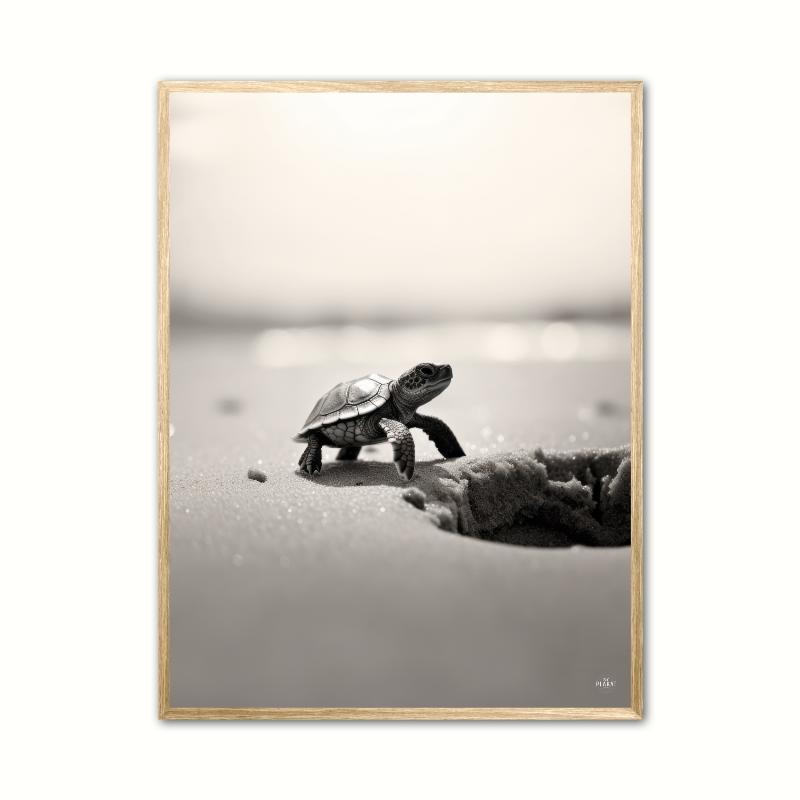 Skildpaddeplakat A4 21 x 29,7 cm