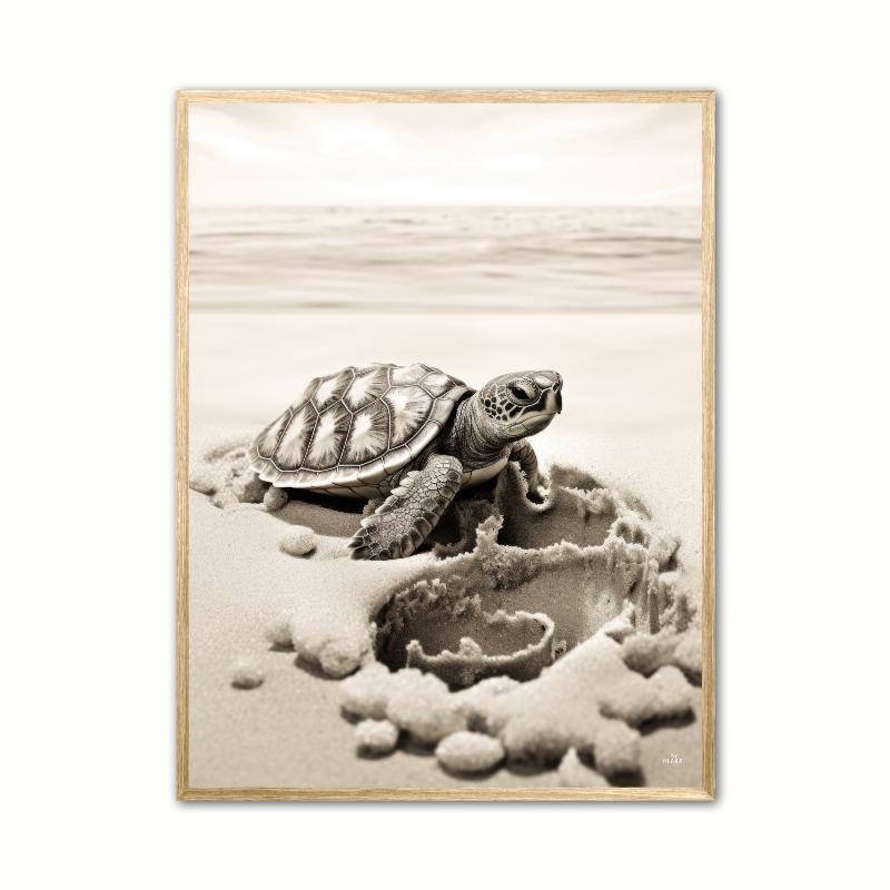 Skildpadde Plakat A4 21 x 29,7 cm