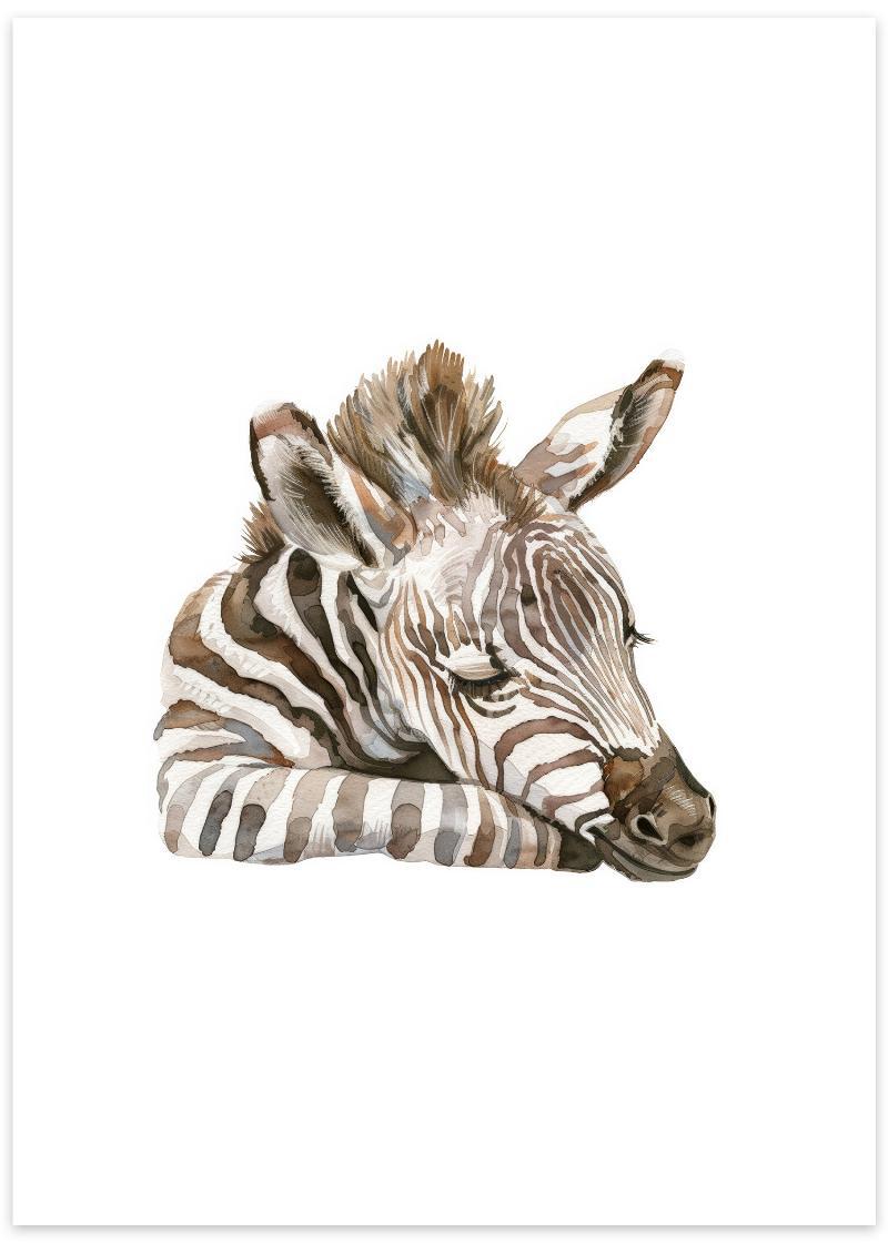 Sød plakat af sovende zebra til børneværelset