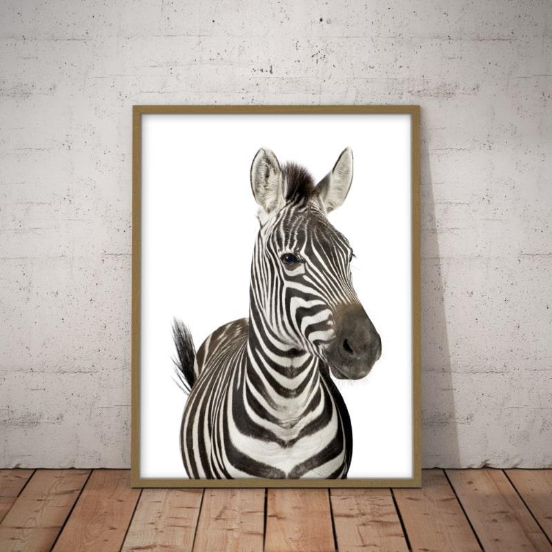 Zebra Plakat til Vægdekoration
