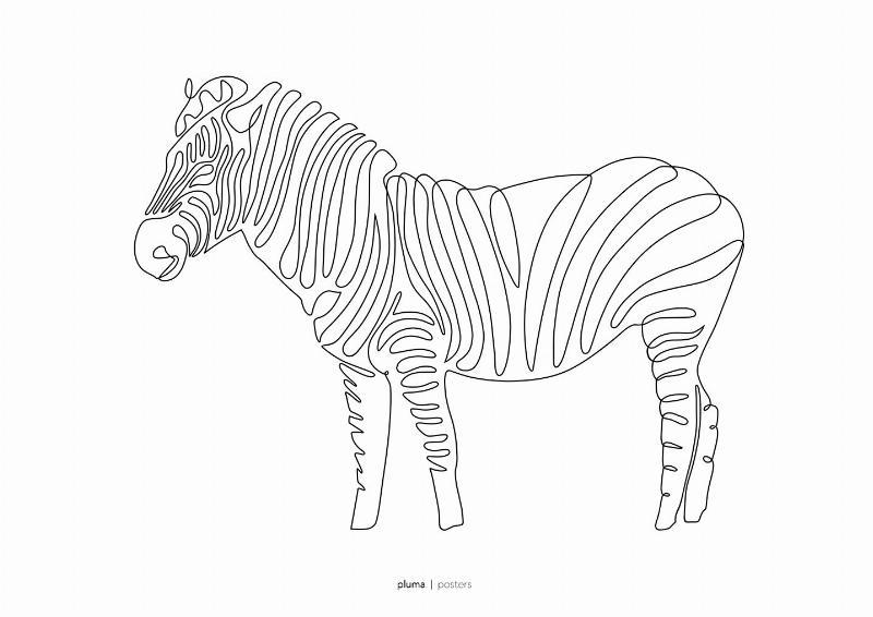 Zebra Plakat fra Pluma