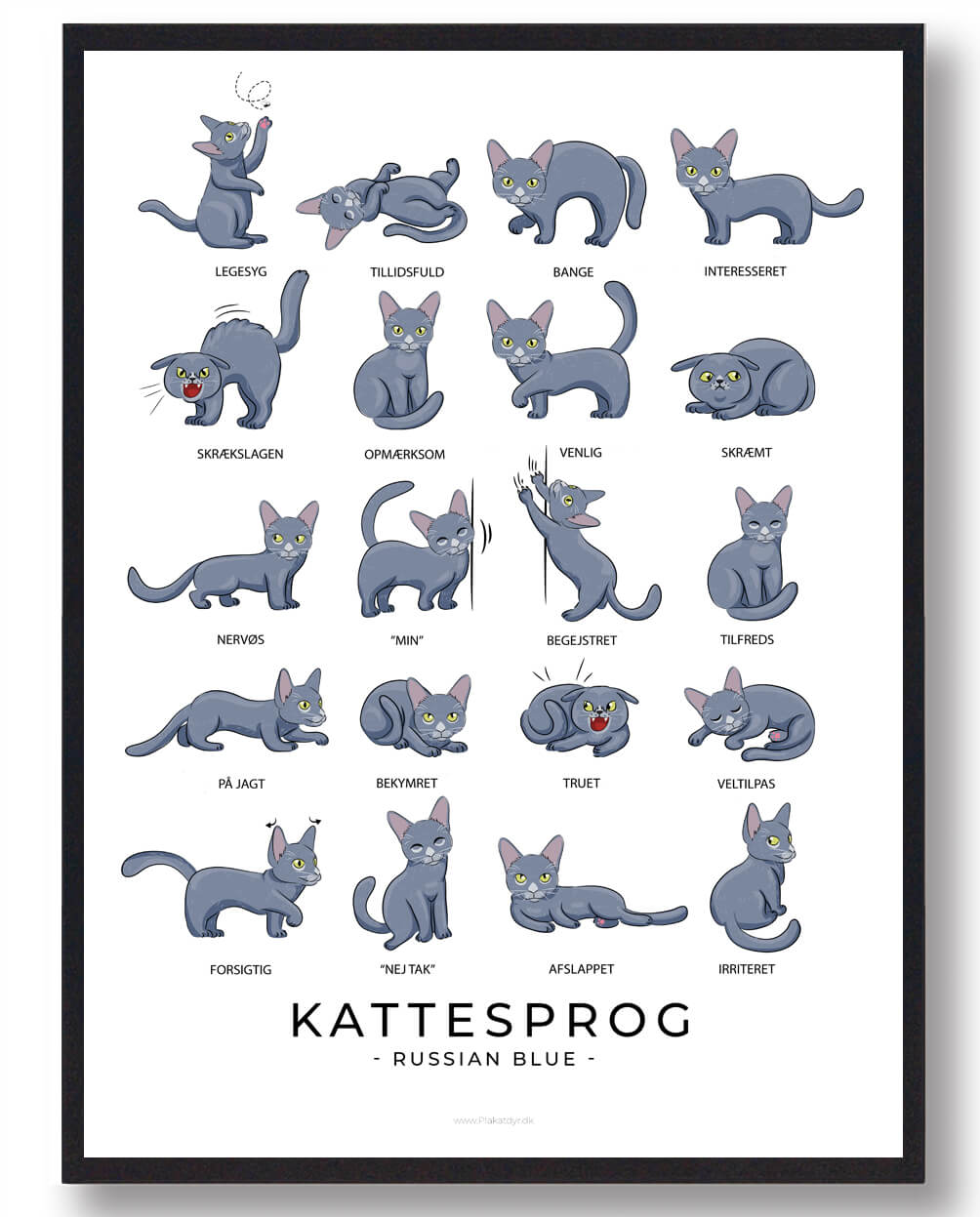 Kattesprog – Plakat med Russian Blue katte til hjemmet