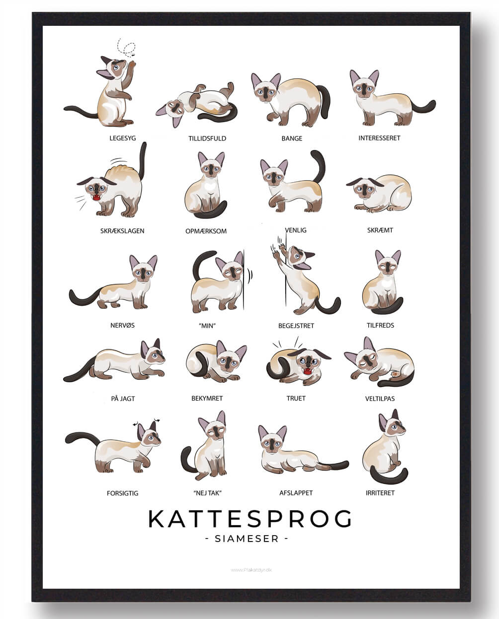 Siameser Katte Plakat til Læring og Dekoration - Udsalg!